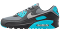 Nike Air Max 90 Cool Grey Dusty Cactus Black | Cactus Frequency